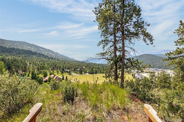 710 Sunrise Cir, Woodland Park, CO 80863 - photo 45