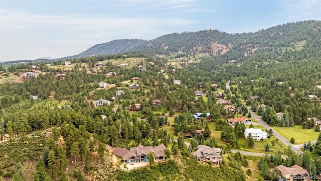 710 Sunrise Cir, Woodland Park, CO 80863 - photo 47