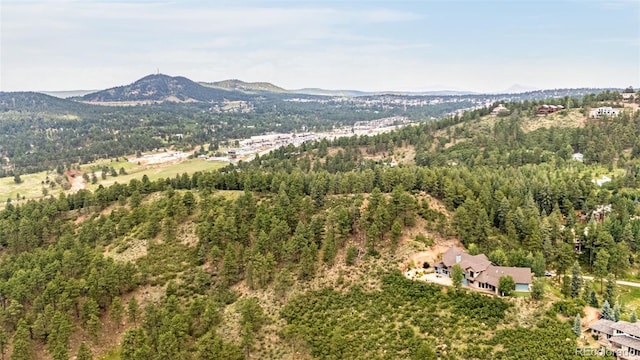 710 Sunrise Cir, Woodland Park, CO 80863 - photo 48