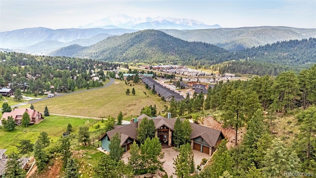 710 Sunrise Cir, Woodland Park, CO 80863 - photo 49