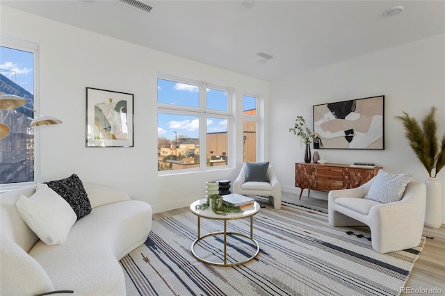 living room featuring hardwood / wood-style flooring