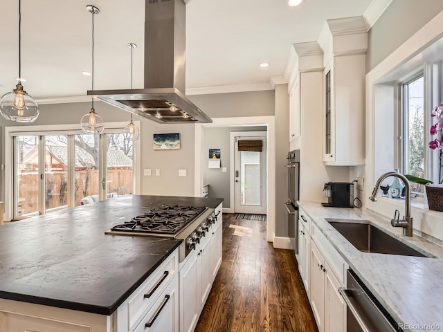 kitchen with crown molding, stainless steel appliances, island exhaust hood, and a sink