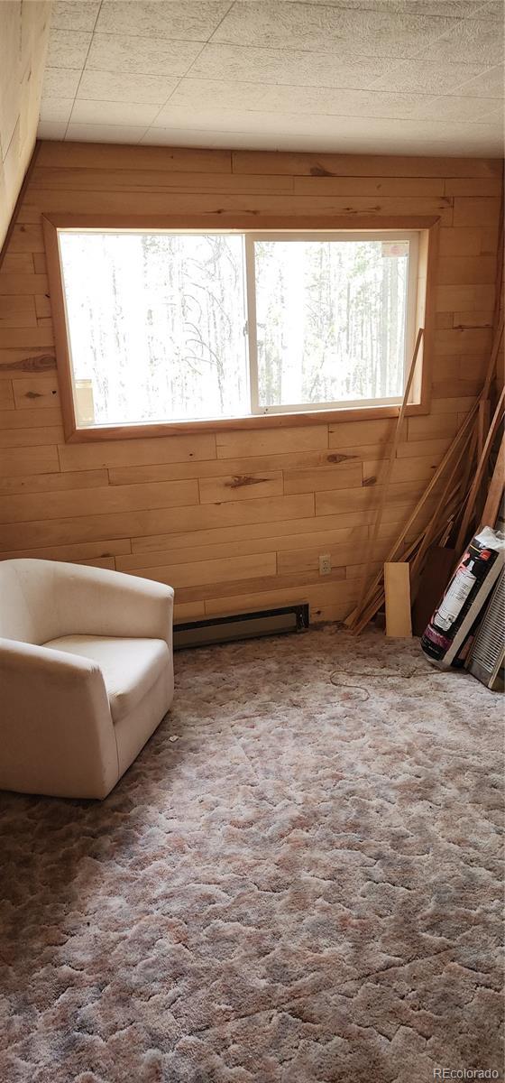 1 Ute Trl, Evergreen, CO 80439 - unfurnished room featuring wood walls, carpet floors, and a baseboard heating unit