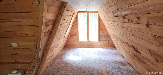 1 Ute Trl, Evergreen, CO 80439 - bonus room featuring wood walls and carpet