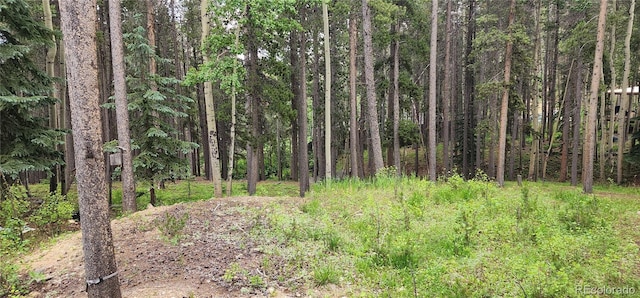 1 Ute Trl, Evergreen, CO 80439 - view of wooded area