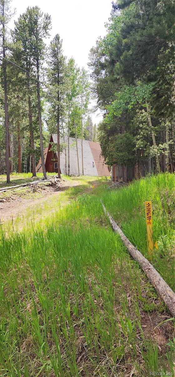 1 Ute Trl, Evergreen, CO 80439 - view of yard