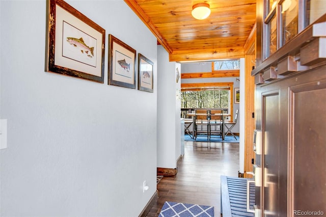 82 Sheep Ridge Rd, Fairplay, CO 80440 - hallway featuring wooden ceiling, dark wood finished floors, and baseboards