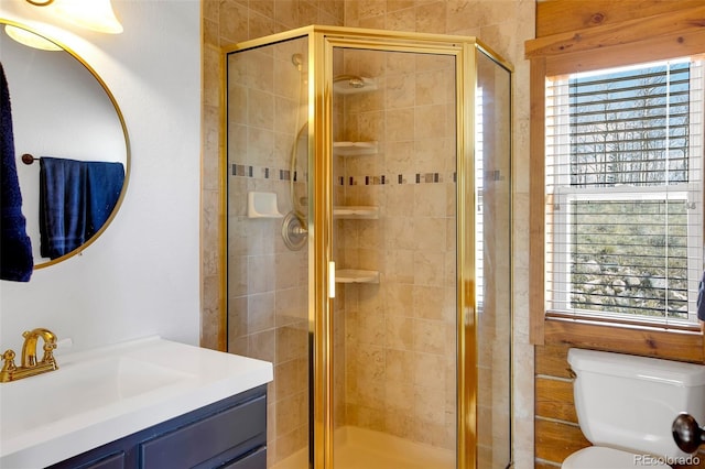82 Sheep Ridge Rd, Fairplay, CO 80440 - bathroom featuring vanity, healthy amount of natural light, toilet, and a shower stall