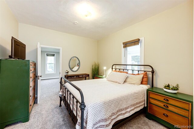 495 Golden St, Calhan, CO 80808 - photo 23