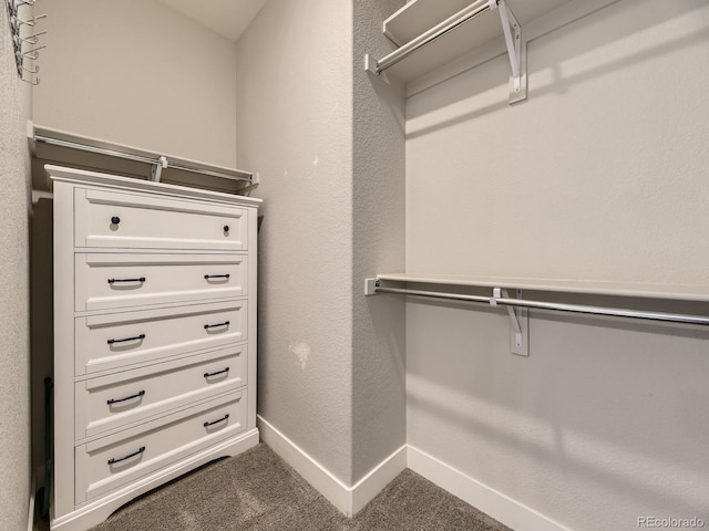 spacious closet with carpet