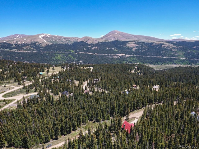 135 Nugget Ln, Alma, CO 80420 - view of mountain background featuring a forest