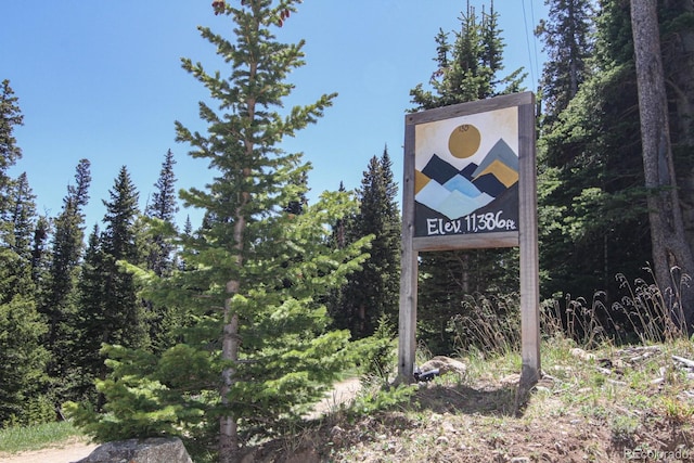 135 Nugget Ln, Alma, CO 80420 - exterior view of a forest
