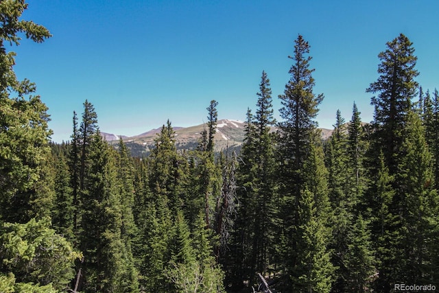 135 Nugget Ln, Alma, CO 80420 - view of mountain backdrop featuring a heavily wooded area