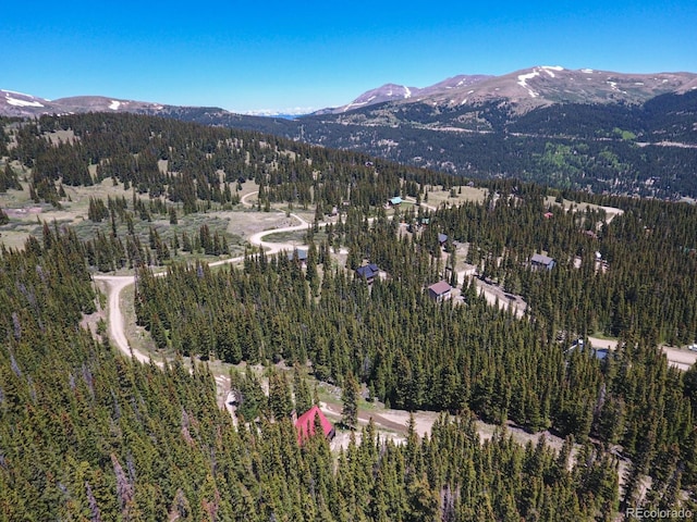 135 Nugget Ln, Alma, CO 80420 - view of mountain background with a forest