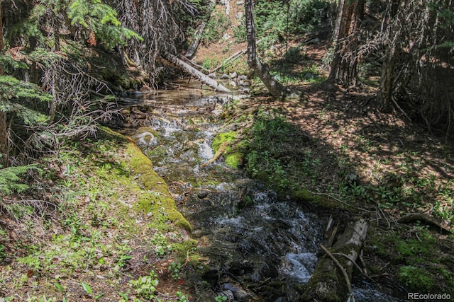 135 Nugget Ln, Alma, CO 80420 - view of local wilderness