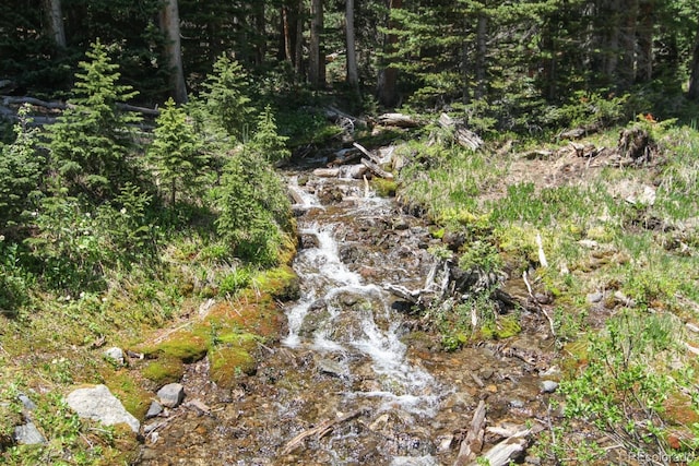 135 Nugget Ln, Alma, CO 80420 - view of nature