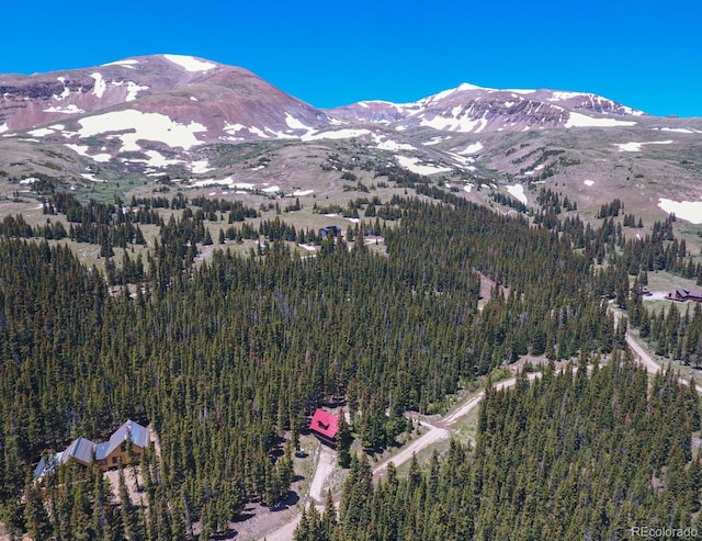 135 Nugget Ln, Alma, CO 80420 - view of mountain background with a heavily wooded area