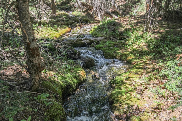 135 Nugget Ln, Alma, CO 80420 - view of local wilderness
