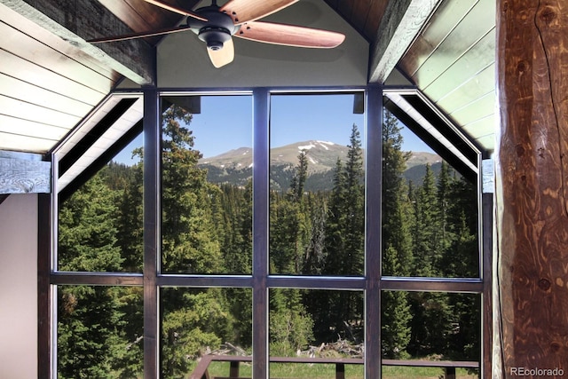 135 Nugget Ln, Alma, CO 80420 - detailed view of a mountainous background and a ceiling fan