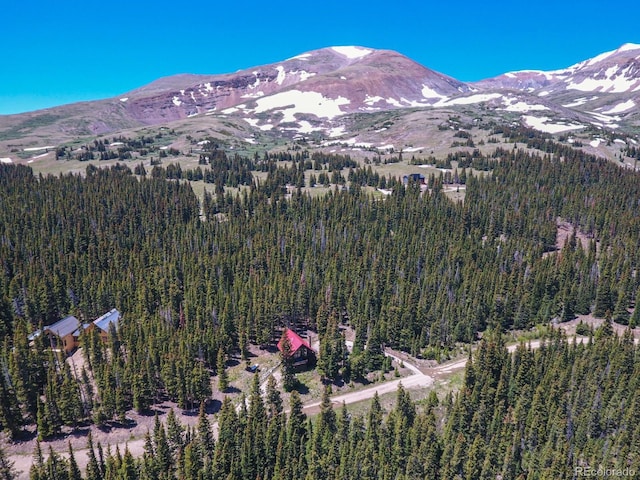 135 Nugget Ln, Alma, CO 80420 - view of mountain backdrop with a heavily wooded area