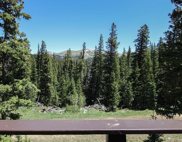 135 Nugget Ln, Alma, CO 80420 - mountain view featuring a forest