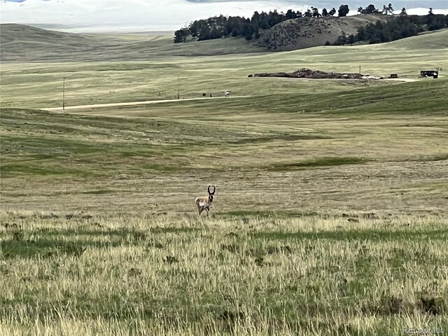 3 Ranch Rd, Hartsel, CO 80449