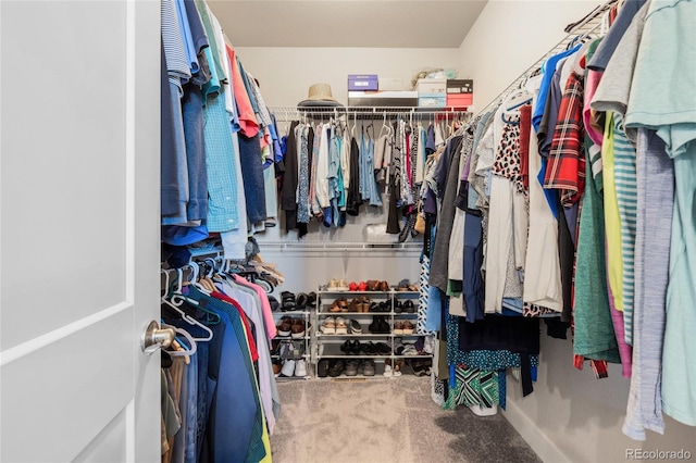 spacious closet featuring carpet