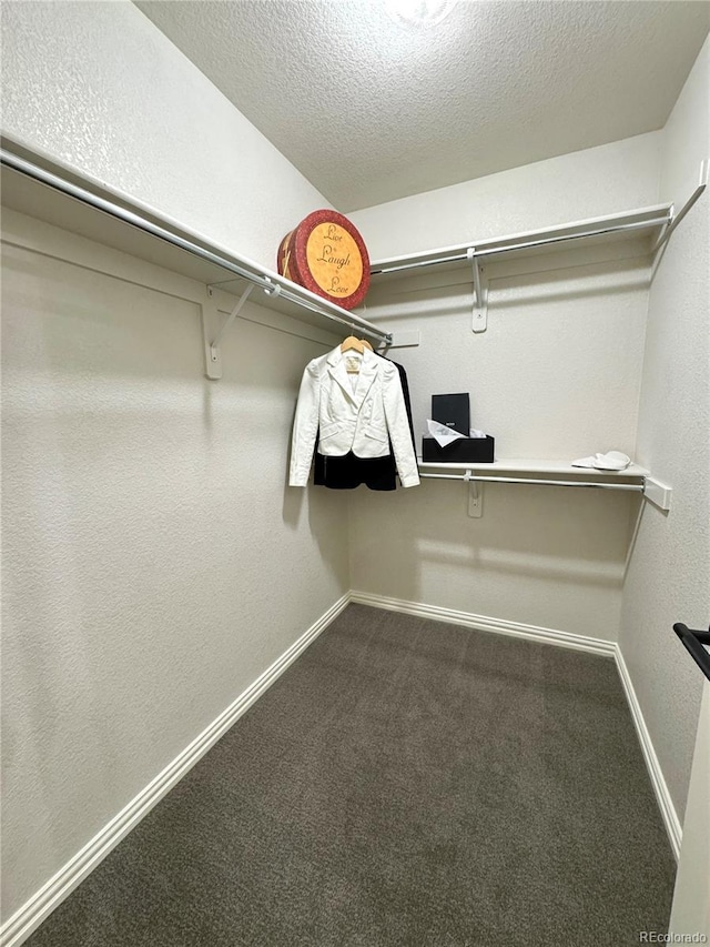 12743 W Bowles Pl, Littleton, CO 80127 - walk in closet with dark colored carpet