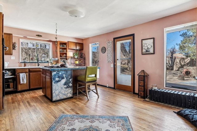 3 S Newton St, Denver, CO 80219 - kitchen with light wood-style floors, open shelves, a breakfast bar, and brown cabinets
