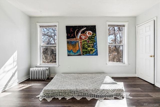 3 S Newton St, Denver, CO 80219 - bedroom with radiator heating unit, multiple windows, and dark wood finished floors
