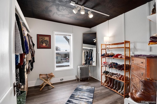 3 S Newton St, Denver, CO 80219 - bedroom with radiator heating unit, wood finished floors, rail lighting, and ceiling fan