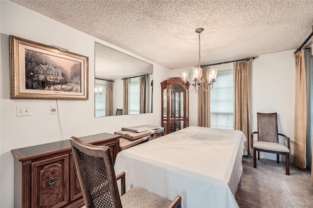 3633 S Ingalls St, Denver, CO 80235 - photo 10