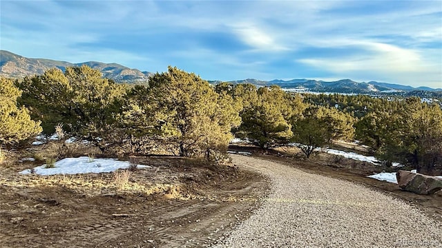 516 Durfee Cir, Westcliffe, CO 81252 - photo 1