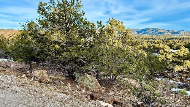 516 Durfee Cir, Westcliffe, CO 81252 - photo 2