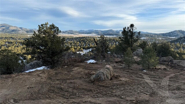 516 Durfee Cir, Westcliffe, CO 81252 - photo 5