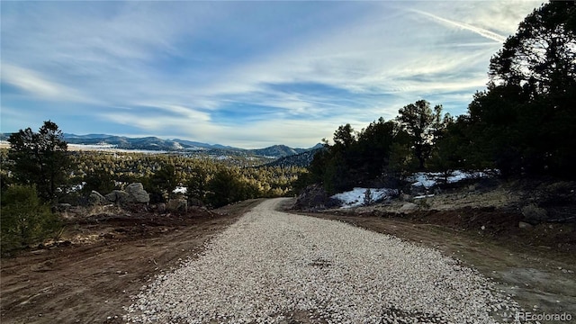 516 Durfee Cir, Westcliffe, CO 81252 - photo 6