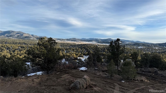 516 Durfee Cir, Westcliffe, CO 81252 - photo 13