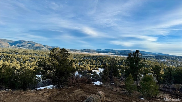 516 Durfee Cir, Westcliffe, CO 81252 - photo 14