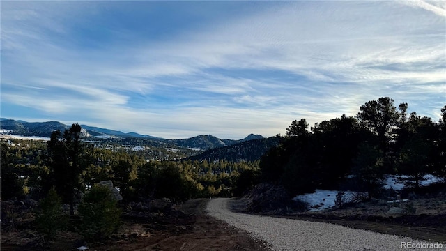 516 Durfee Cir, Westcliffe, CO 81252 - photo 15
