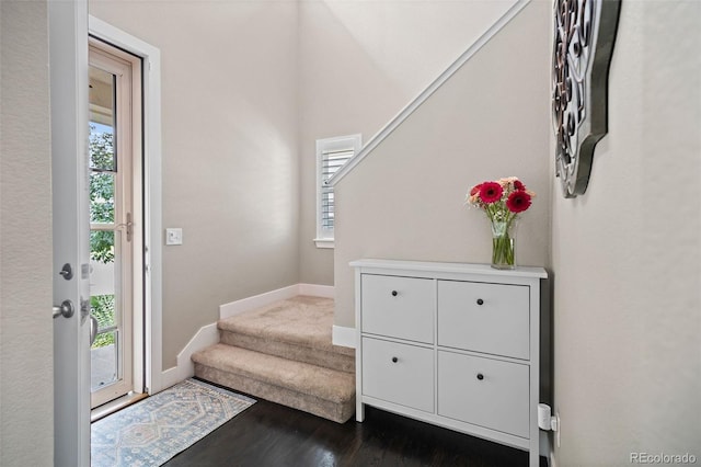 10388 Rutledge St, Parker, CO 80134 - entryway featuring healthy amount of natural light, stairs, and dark wood-type flooring