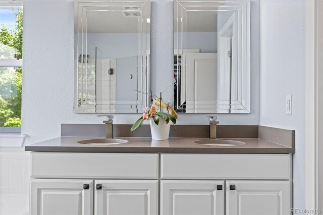 10388 Rutledge St, Parker, CO 80134 - bathroom with double vanity, healthy amount of natural light, and a textured wall
