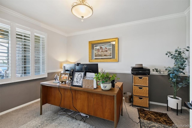 carpeted home office with ornamental molding