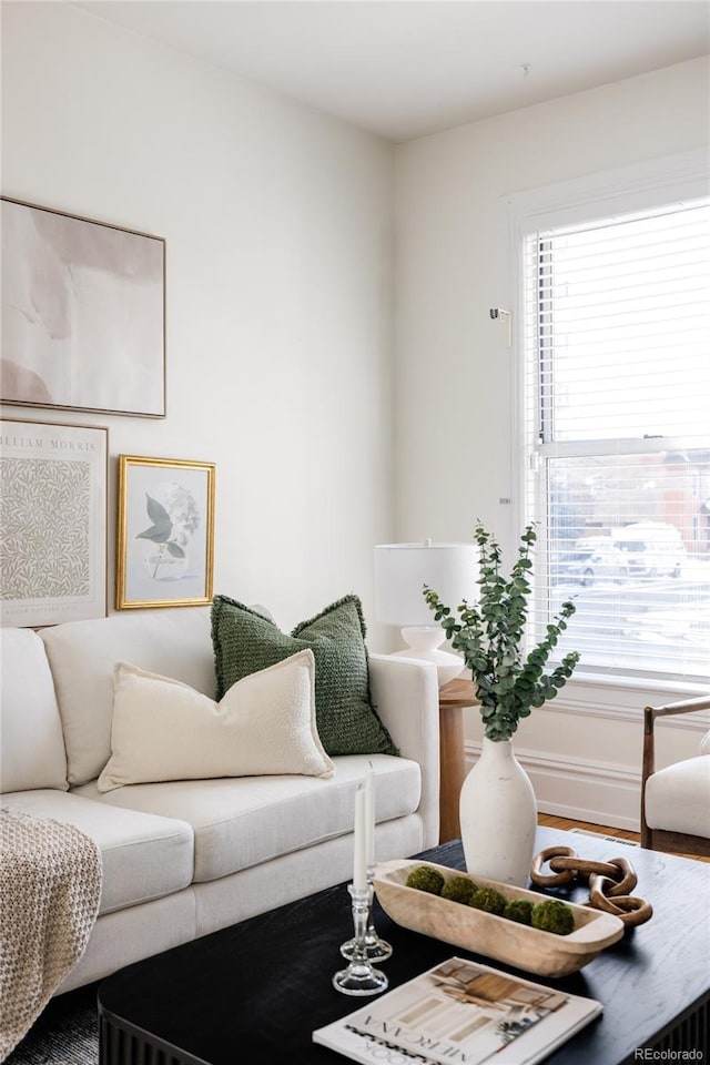 1000 N Ogden St, Denver, CO 80218 - view of living room