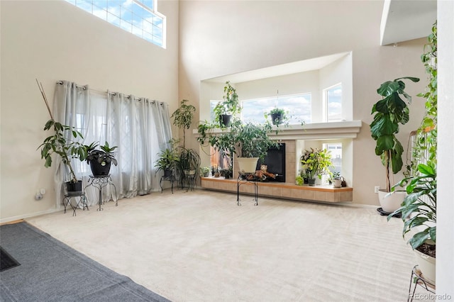 20292 E 47th Ave, Denver, CO 80249 - sitting room with baseboards, carpet flooring, and a towering ceiling