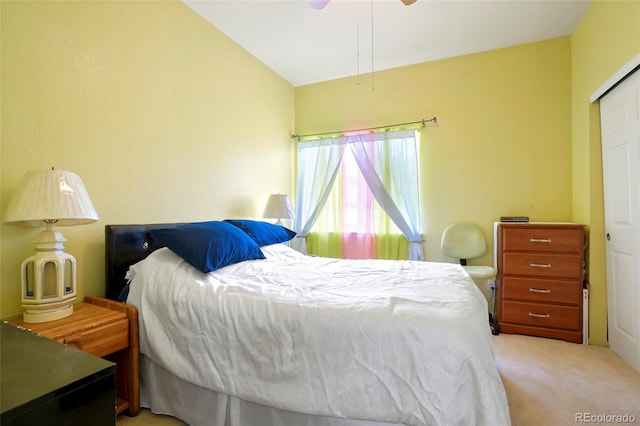 20292 E 47th Ave, Denver, CO 80249 - carpeted bedroom with a closet and ceiling fan