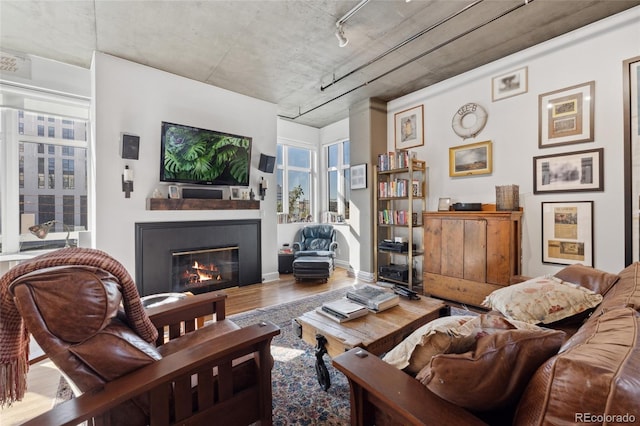 living room with hardwood / wood-style flooring and rail lighting