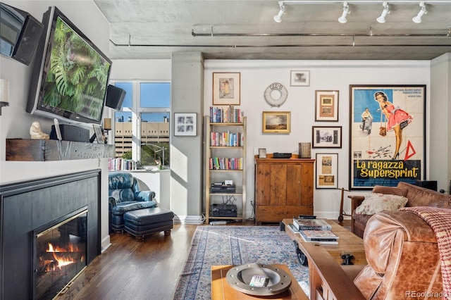 living room featuring dark wood-type flooring and track lighting