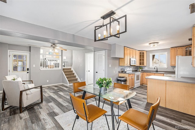 dining room featuring sink, ceiling fan, and dark hardwood / wood-style flooring