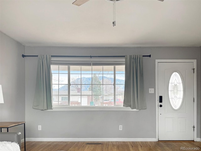 entrance foyer featuring hardwood / wood-style flooring