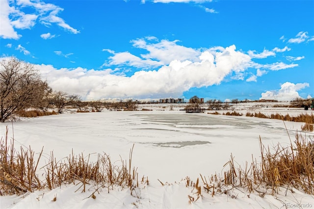 view of yard layered in snow